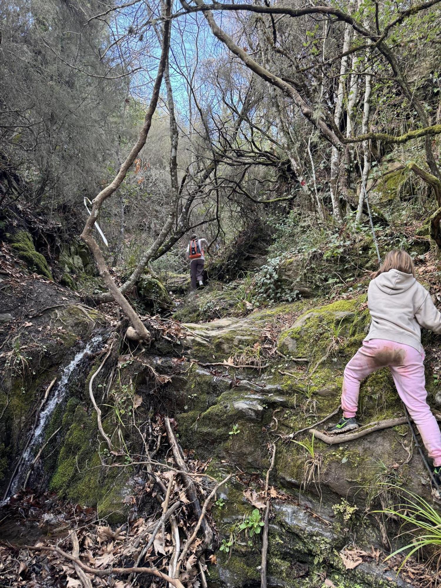 Foresta In Medias Mores Триполис Екстериор снимка