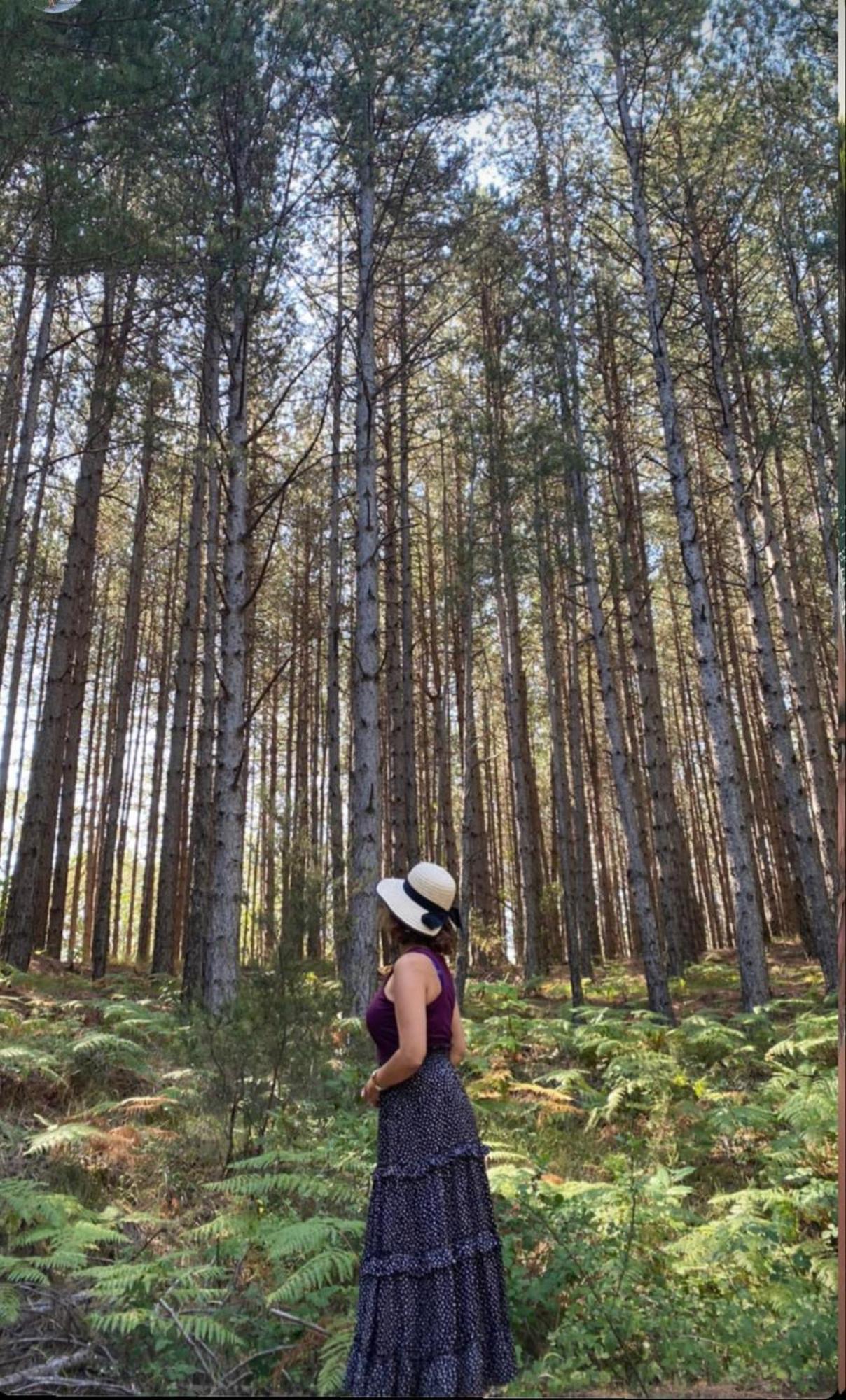 Foresta In Medias Mores Триполис Екстериор снимка